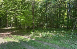 Osborn Dr, McMillan, MI 49853