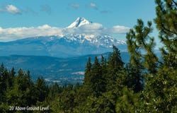 Riggleman Ln, WhiteSalmon, WA 98672