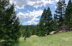 3414 Divide Creek, Divide, MT 59727