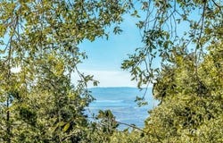 52365 Pine Ridge Rd, Idyllwild, CA 92549