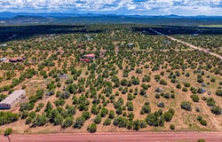 59 Harry Drive, Concho, AZ 85924