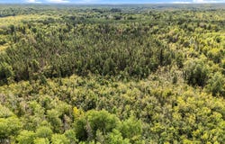koecher rd, Kerrick, MN 55756