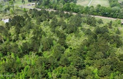 6211 Wesley Powell Road, Lucedale, MS 39452