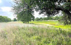 1111 Ranch Road 2768, Llano, TX 78643