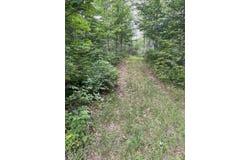 State Highway M-117, MI 49868