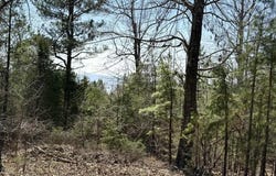 Foxcroft Lane, Elizabeth, AR 72531