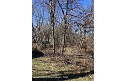 Poney Lane, Catskill, NY 12414