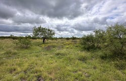 County Rd 408, Eldorado, TX 76936