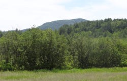 VT RT 131, Weathersfield, VT 05030