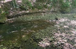 1 Bbq Rd, Dickson, TN 37055