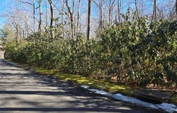 112 Hemlock Trail, Cleveland, SC 29635