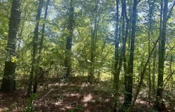 Willow Way, Flora, MS 39071