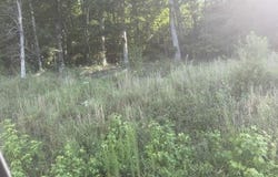 TRACTS 7-9 CARROLL HOLLOW Rd lot: 7,8,9, Waynesboro, TN 38485