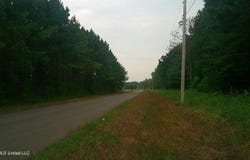 Will Glenn Road, Smithville, MS 38870