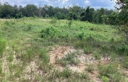 Caroline Dr, Greenbrier, AR 72058