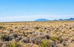 County Rd 104, San Luis, CO 81152