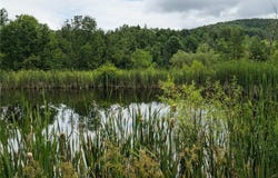 10777 County Highway 21, Franklin, NY 13775