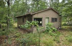 290 E Decatur, Idlewild, MI 49642