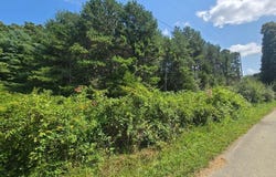Black Creek Rd, Oneida, TN 37841