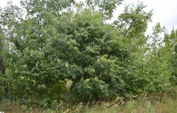 FISHER ROAD, TRAVERSE CITY, MI 49685