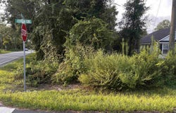 Cloer Lane, Crawfordville, FL 32327