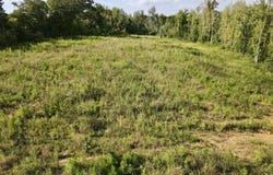 36 ac Beech Creek Road, Nelson, VA 24580