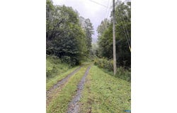 10688 THOMAS NELSON HWY, LOVINGSTON, VA 22949