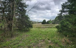 County Road 250-163, Drury, MO 65638