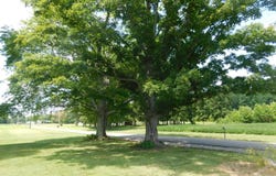 4306 E 925 N, Madison, IN 47250