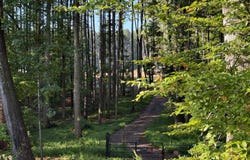 Gum Tree Rd, Orange, VA 22960