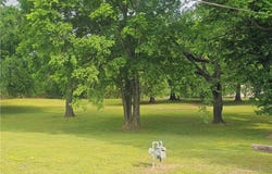 218 Rosalee ST lot: 2, Paris, AR 72855