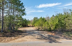 Bear Pen Creek Rd, LAUREL, MS 39443