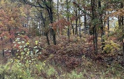 N Circle E lot: #6, Farwell, MI 48622