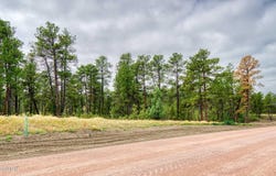 10 Pine Crest Drive, Pine Haven, WY 82721