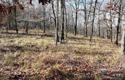 3373 HWY 347, Bismarck, AR 71929