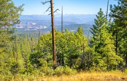 TBD Wagner Ridge Road, Coulterville, CA 95311
