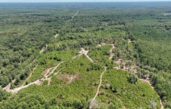 18485 FM 1013, Spurger, TX 77660