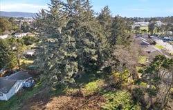 Adams, Crescent City, CA 95531