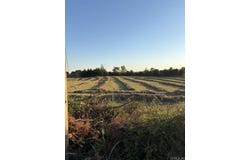 Rob Hill Road, Dardanelle, AR 72834