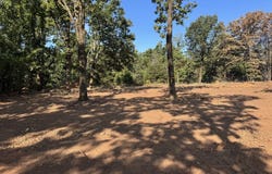 19477 CEDARPARK Place, Lindale, TX 75771