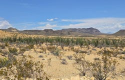 10 Raven Rd, Terlingua, TX 79852