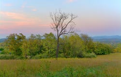 Stonewood Trace, Lexington, VA 24450
