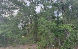 21902 NE 69TH Place, MELROSE, FL 32666