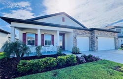 11753 JUNE BRIAR Loop, SAN ANTONIO, FL 33576