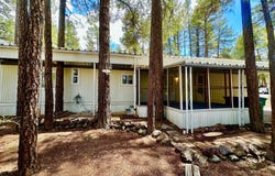 1301 N 45TH Drive, Show Low, AZ 85901