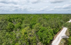 208 Street Street 139 Drive, O Brien, FL 32071