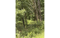 Boulder Boulevard lot: 7, Shirley, AR 72153