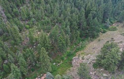 524 Jackelope Ln, Livermore, CO 80536
