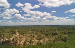 Bradley Road, Banks, AR 71631