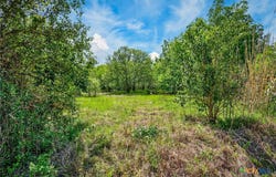 Fm 1854, Dale, TX 78616
